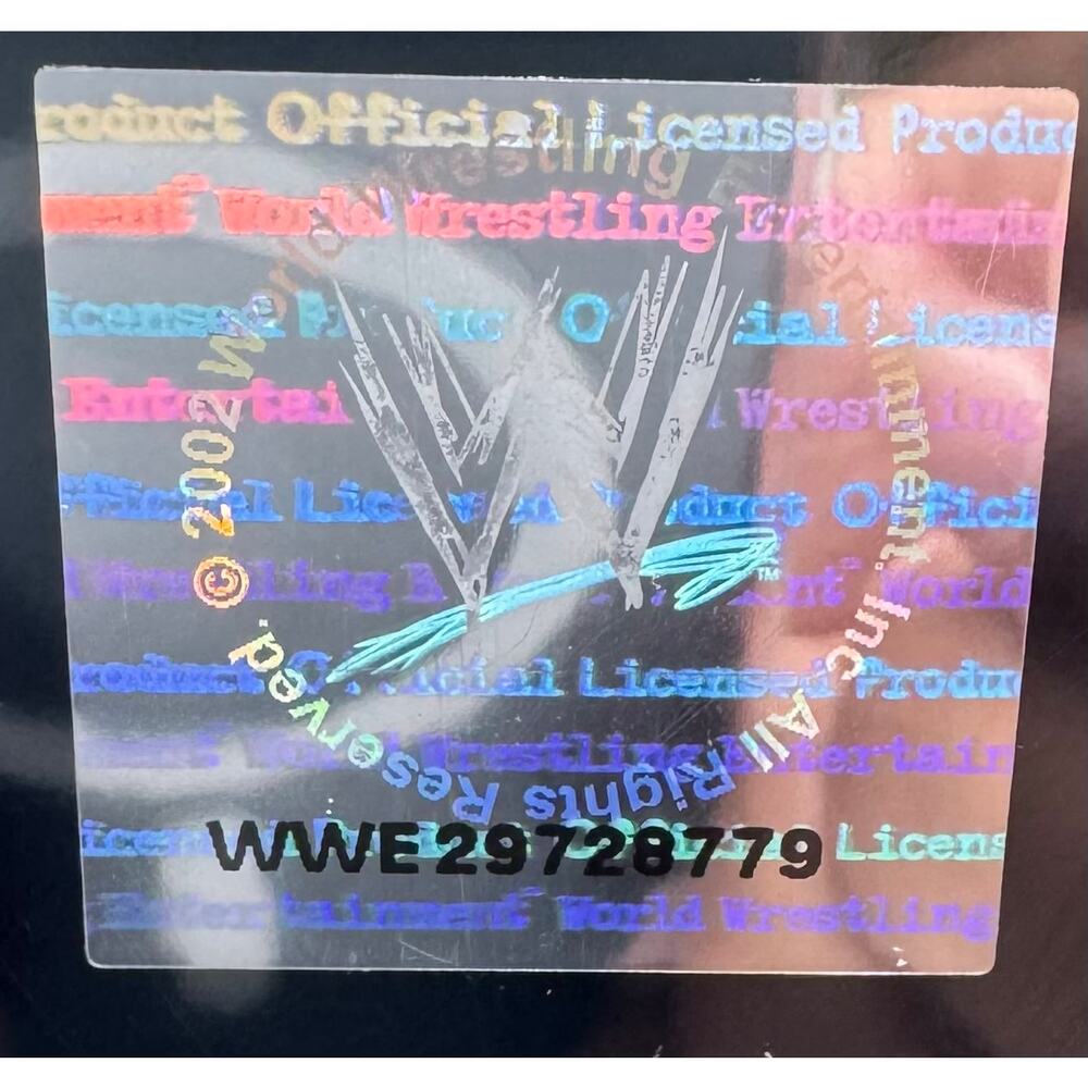 WWE Undertaker 2004 Photo File Framed Plaque Hologram Deadman - Picture 2 of 3